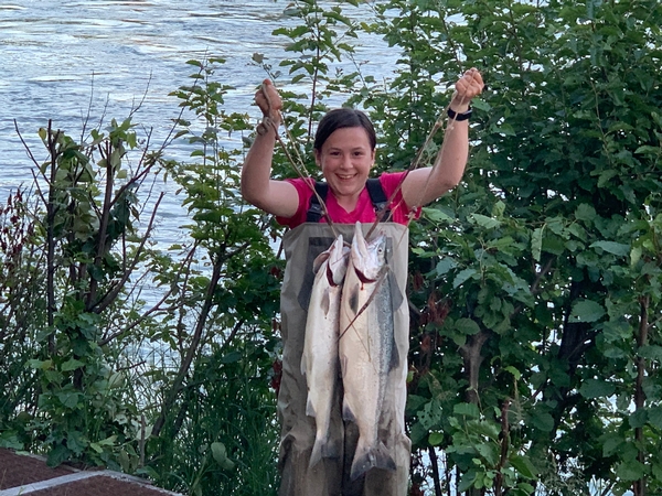 How Abundant are Sockeye Salmon in Alaska?